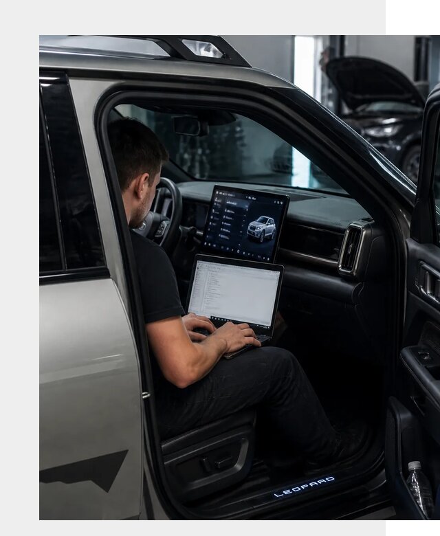 Русификация BYD Leopard 3 в Новочеркасске по цене от 20366 р. | ФастМобиль-Нвч
